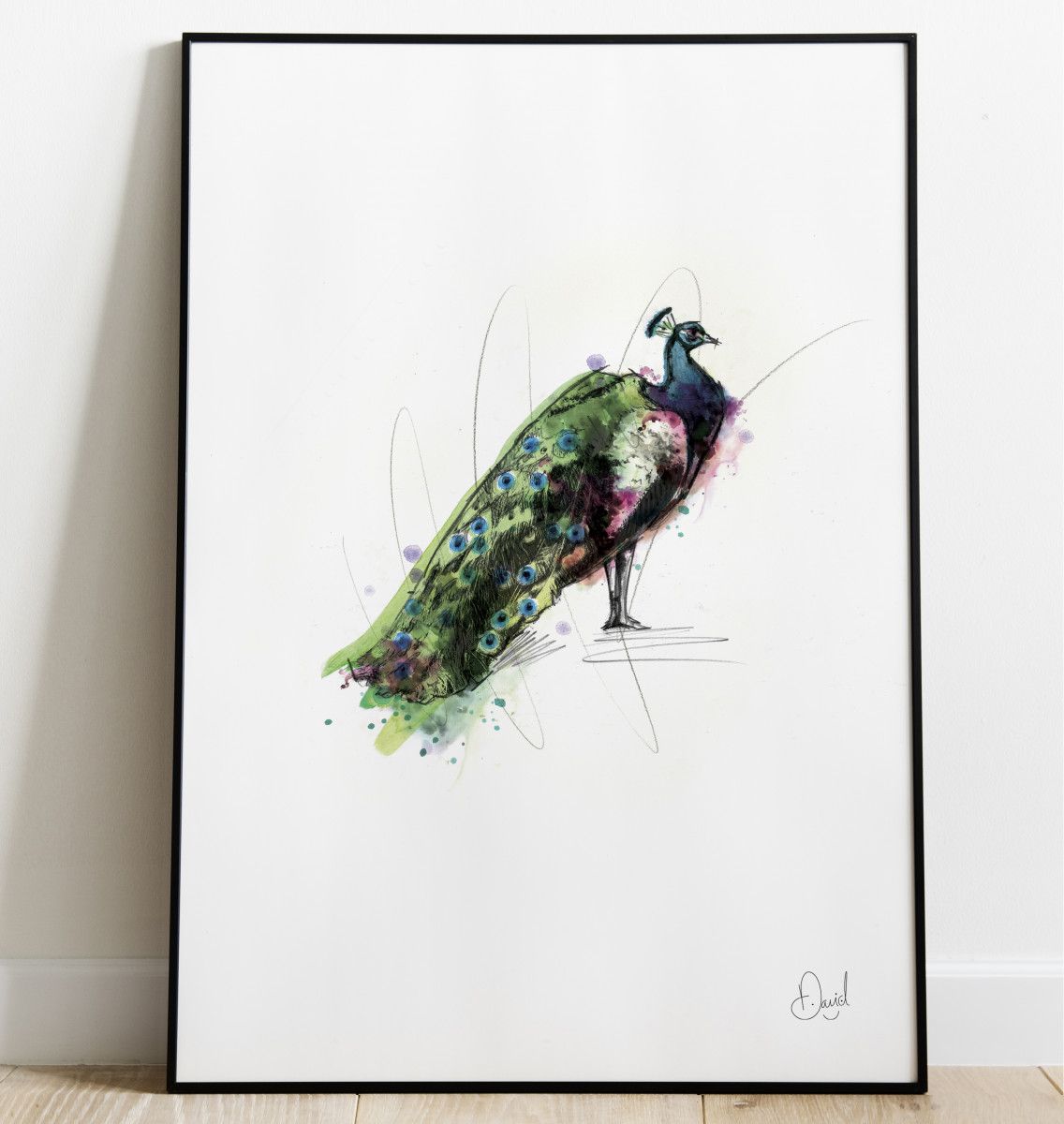David Marston Art - Proud As A Peacock