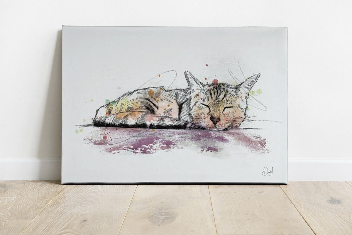 040 Dm Cats Canvas Let Sleeping Cats Lie Landscape Art