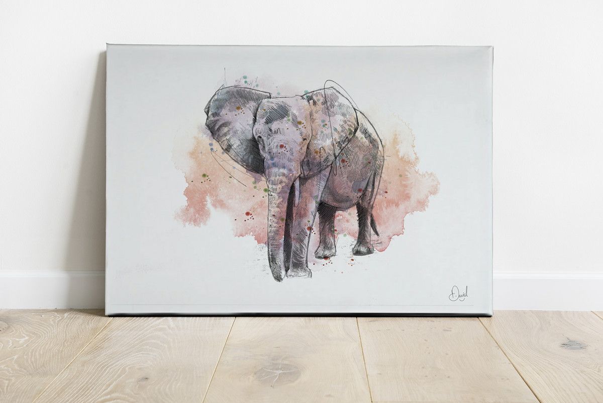 00241 Dm Canvas Elephant The Pink Elephant Land Web
