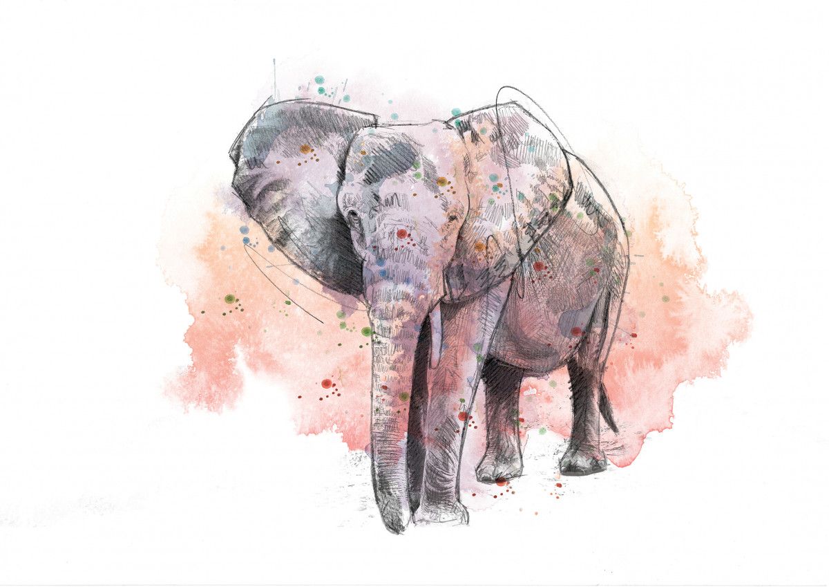 00241 Dm Elephant The Pink Elephant Art