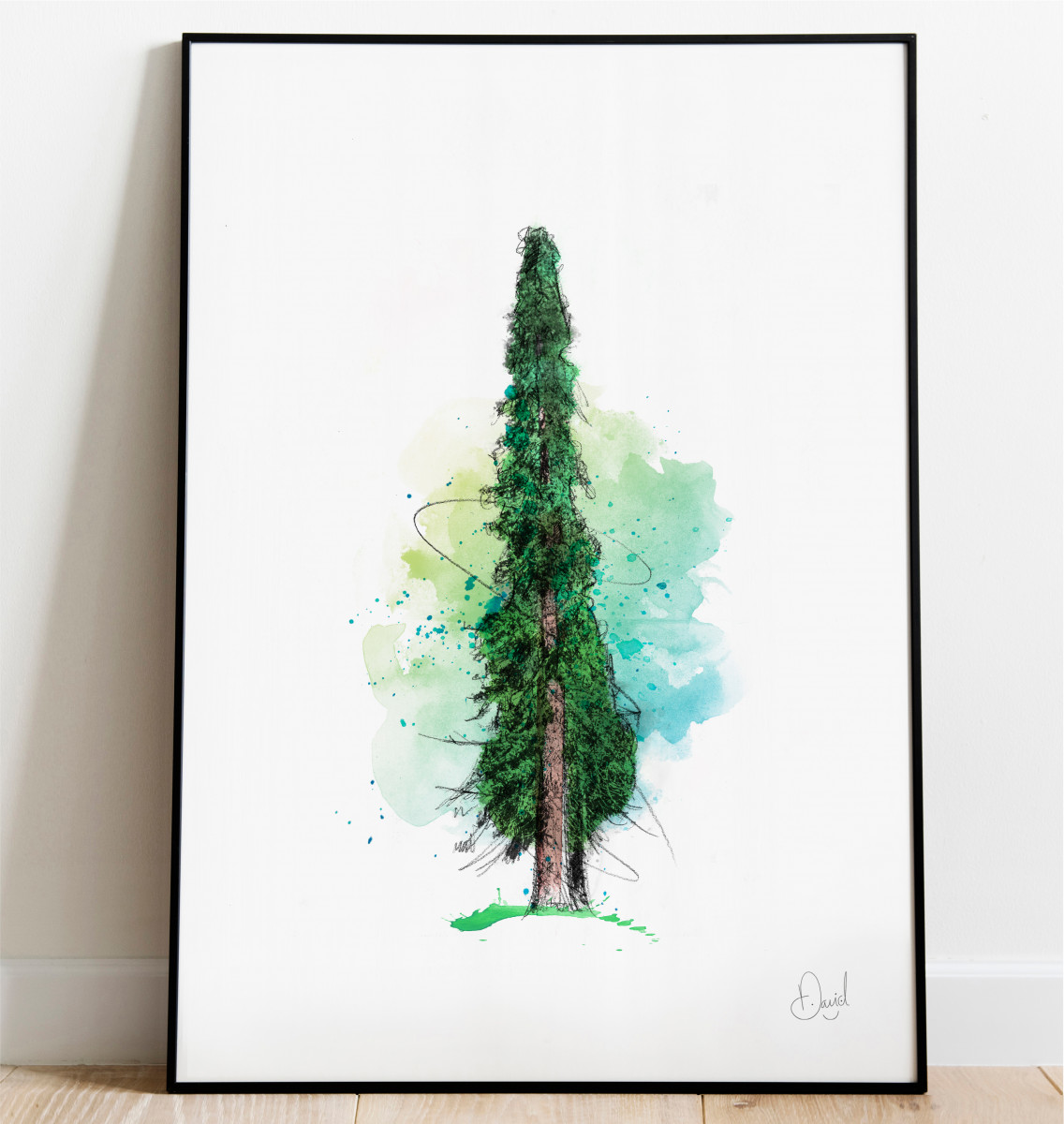 Redwood State - Tree art print